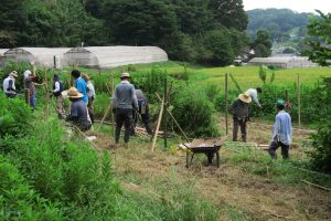 はさかけ設置作業